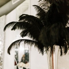 100 Pcs Natural Black / White Ostrich Feathers for Wedding Black