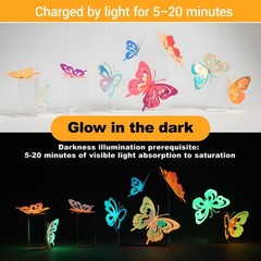Luminous Glow in the Dark 3D Butterfly Wall Decor – Color-Changing, Multi-Size &