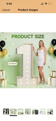 Marquee Number 6/ 5ft Tall with Lights