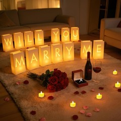 Will You Marry Me Light Up Letters Luminary Bags, Marry Me Sign Banner, Roman…