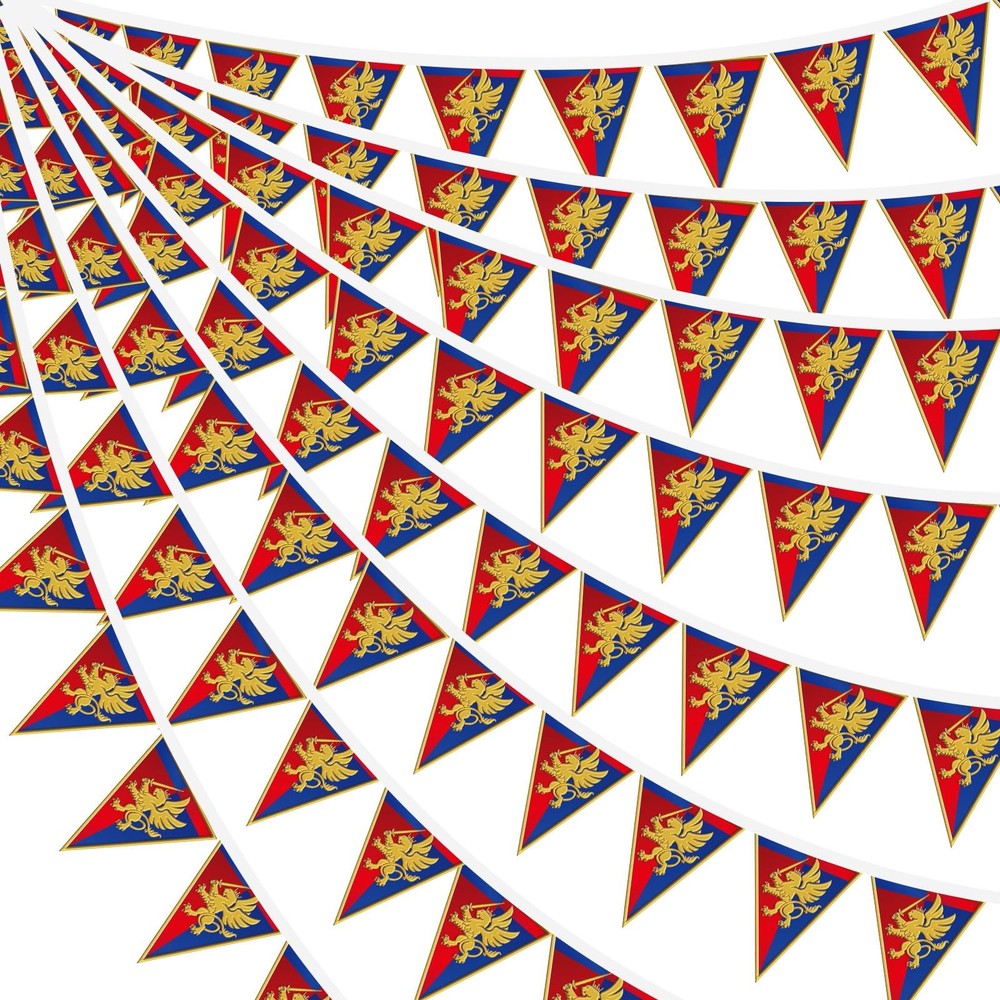 6 Pcs 72 ft Medieval Fantasy Pennant Banner with Lion Design Medieval Party D…
