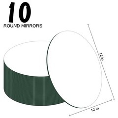 10 PCS Acrylic Round Mirrors Trays Plates Circle 1.6mm 12 Inch 30cm Craft