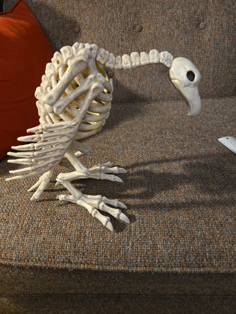 Halloween Skeleton VULTURE Buzzard Bird Animal Decorations crazy bones ,garden