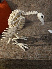 Halloween Skeleton VULTURE Buzzard Bird Animal Decorations crazy bones ,garden