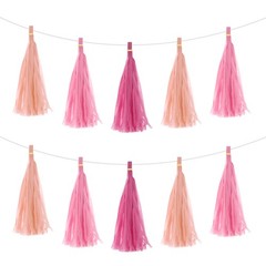 15Pcs Peach Pink, Pink, Rose Red Tassel Garland Banner with Rope