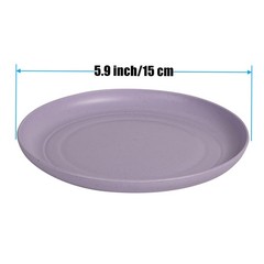CAMBUY Wheat Straw Plates Lightweight Unbreakable Small, Small Multicolour