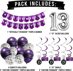 Complete 13th Birthday Party Pack – Silver Balloons & Hilarious Decorations