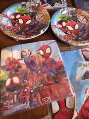 SPIDERMAN SUPERHEROS BIRTHDAY PARTY PACK (SP5) SM1
