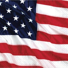 American Flag Flying Color Star Stripe Round Dessert Plate and Napkin Party Pack