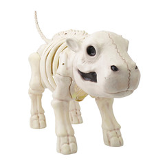 22″ Standing Hippo Skeleton Halloween Decoration – Morris Costumes