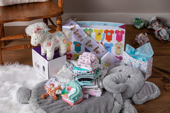 Fabfuzz Calliope Pony Soft Toy Friend,1 Months to 200 Months