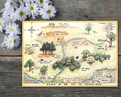 Winnie the Pooh 100 Aker Wood Map
