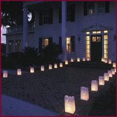 PAPER LANTERN Birthday Garden Home Summer Tea Tropical Wedding Party Decoration