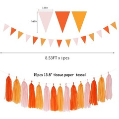 Pink-Orange Groovy Party-Decorations Pom-Poms Streamers – 23pcs Fall Autumn T…