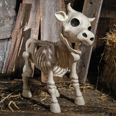23″ Standing Cow Skeleton Halloween Decoration – Morris Costumes
