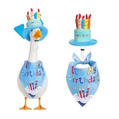 Cheerful Goose for costume Set for Outdoor Birthday Parties with Fun Accessories