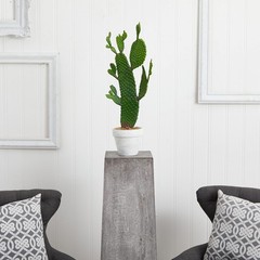 Nearly Natural 27in. Cactus Artificial Plant 6x11x27, Green