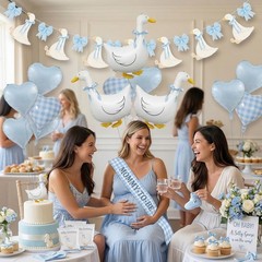 Silly Goose Party Decorations with Goose Banner, Bow & Blue Gingham Balloons,…