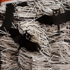 Halloween Garland with Mylar Black Bats Party Decoration 12 Ft ea 2 Rolls