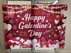 Large 7×5 Ft Happy Galentines Day Backdrop Banner, Red Pink Galentines Day. (M