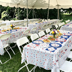 4th of July Disposable Tableware Set Serve 50 Red White Blue Plates Napkins Part