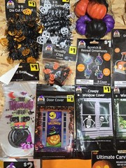 Bulk Halloween Decorations Set of 20 Pc, Decorating Party Pack, Spiders, Skull.