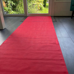 15ft Red Carpet VIP Party Floor Runner Prom Birthday Photo Prop Decoration Idea