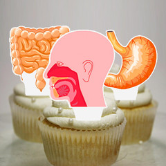 48Pcs Human Anatomy Party Cupcake Toppers Human Anatomy Body Part Birthday Party