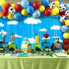 Cartoon Toy Inspired Story Birthday Party Decoration, 2 Pack Story Party Photo B