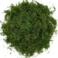USMOLA Artificial Moss, 16OZ Fake Moss for Crafts Table Centerpieces Fairy Garde