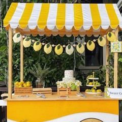 Lemon Felt Banner Garland Decor Vintage 3D Fruit Hanging Garland with Wooden …