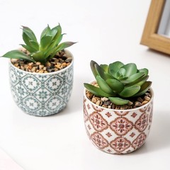 Karlliu Artificial Plants Succulent Flowers in 2.5X3.25 inch, Red & Blue