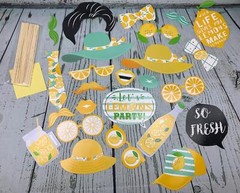 25Pcs Lemon Photo Booth Props with Stick Citrus Lemonade Theme