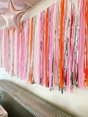 5ft Extra Large Sunset Sorbet Streamer Fringe Photo Booth Backdrop Party