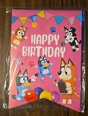bluey birthday party decorations