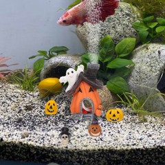 5PCS Fish Tank Decor Halloween Betta Holiday Decorations Pumpkin House