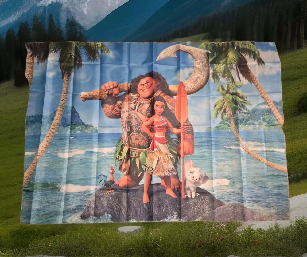 Animation Party Pack For 10 Guest With 3×5 Ft Banner