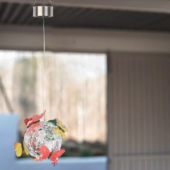 Delicate Solar Butterfly Light for Transforming Your Garden and Yard Space