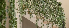 24 Pack Eucalyptus Garland, Artificial Greenery Garland Faux Eucalyptus Leaves