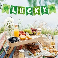 Banner Green St Patricks Day Decorations 1 inch x 1 inch, style.2