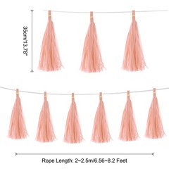 25Pcs Peach Pink Tassel Garland Banner with Rope