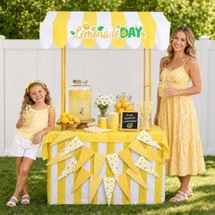 Lemonade Stand Kit Lemonade Stand Supplies Include Lemon Shelf Roof Sign Pennant