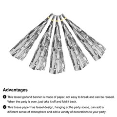 15Pcs Silver Tassel Garland Banner with Rope Tissue Paper Tassels Party DIY Kits