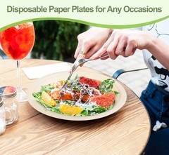 Paper Plates 10 Inch Bulk, 50 Pack Compostable, Eco Friendly Heavy Duty, Made…