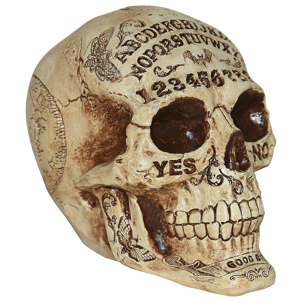 7 Fortune Teling Skull Halloween Decoration – Morris Costumes