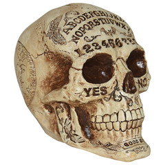 7 Fortune Teling Skull Halloween Decoration – Morris Costumes