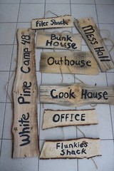 Live Edge Wooden Sign – Pine Lumberjack Party Decorations