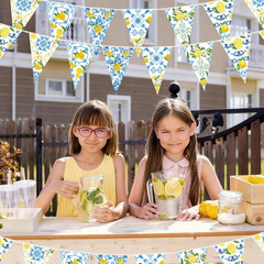 6PCS Lemon Garlands Lemon Party Decorations Lemons Bandana Pennant Banner Summer