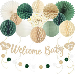 Sage Green Baby Shower Decorations Boy, Pre-Strung Welcome Baby Sign with Honeyc