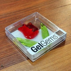 GelGems TULIP Flower Window Cling Decoration Decal Kameyama Co 2012 BRAND NEW